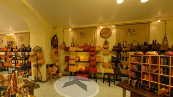 Il Bisonte – Roma