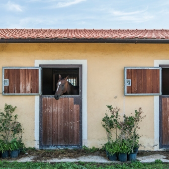 Tenuta Dell’Uccellina – Grosseto
